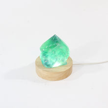 Load image into Gallery viewer, Fluorite crystal lamp | ASH&amp;STONE Crystal Shop Auckland NZ
