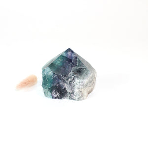 Fluorite crystal point  | ASH&STONE Crystals Shop Auckland NZ