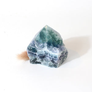 Fluorite crystal point | ASH&STONE Crystals Shop Auckland NZ