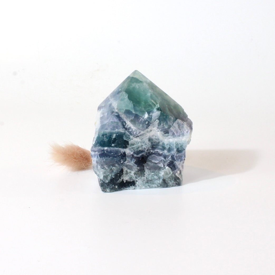 Fluorite crystal point | ASH&STONE Crystals Shop Auckland NZ