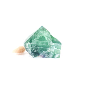 Fluorite crystal point | ASH&STONE Crystals Shop Auckland NZ