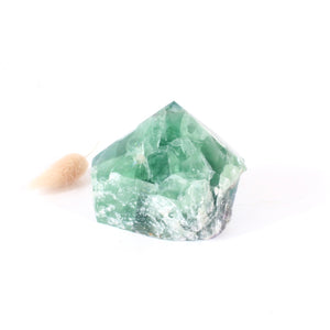 Fluorite crystal point | ASH&STONE Crystals Shop Auckland NZ