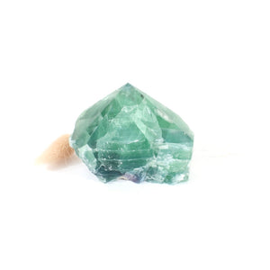 Fluorite crystal point | ASH&STONE Crystals Shop Auckland NZ