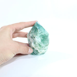 Fluorite crystal point  | ASH&STONE Crystal Shop Auckland NZ