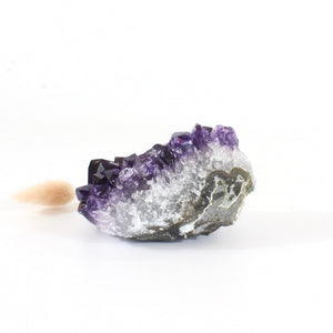 A++ Grade amethyst crystal cluster | ASH&STONE Crystals Shop Auckland NZ