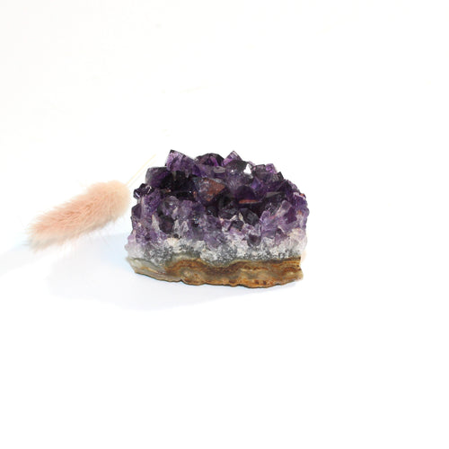 A++ Grade amethyst crystal cluster  | ASH&STONE Crystals Shop Auckland NZ
