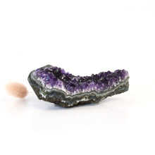 Load image into Gallery viewer, A++ grade Uruguayan amethyst crystal cluster | ASH&amp;STONE Crystals Shop Auckland NZ

