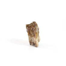 Load image into Gallery viewer, Raw honey amber calcite crystal | ASH&amp;STONE Crystals Shop Auckland NZ
