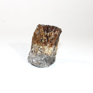 Raw honey amber calcite crystal | ASH&STONE Crystals Shop Auckland NZ