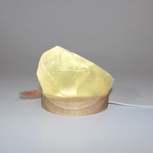 Load image into Gallery viewer, Honey calcite crystal lamp on LED wooden base  | ASH&amp;STONE Crystals Shop Auckland NZ
