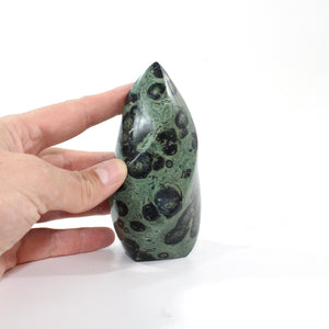 Kambaba jasper polished crystal flame | ASH&STONE Crystal Shop Auckland NZ