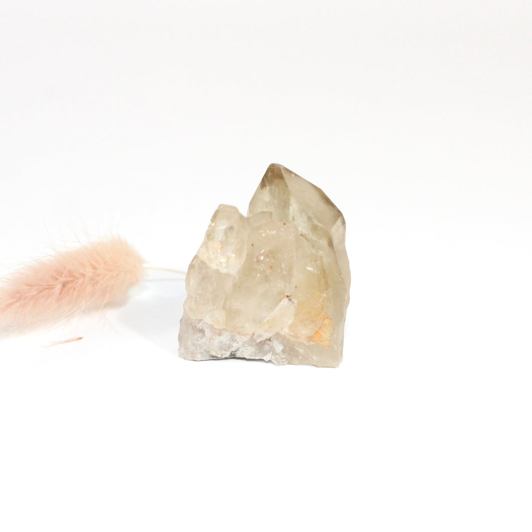 Kundalini natural citrine crystal clustered point - extremely rare | ASH&STONE Crystals Shop Auckland NZ