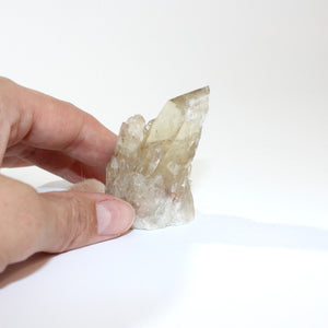 Kundalini Natural Citrine Crystal Clustered Point - extremely rare | ASH&STONE Crystals Shop Auckland NZ