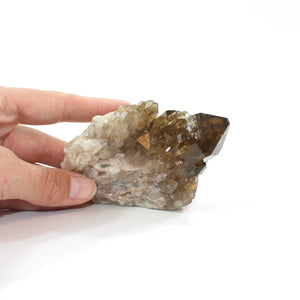 Kundalini Natural Citrine Clustered Crystal Point | ASH&STONE Crystal Shop Auckland NZ