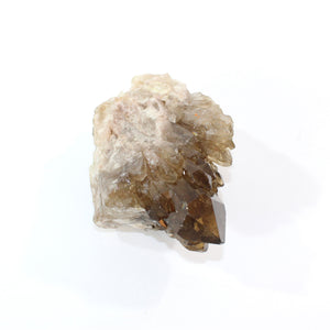 Kundalini Natural Citrine Clustered Crystal Point | ASH&STONE Crystal Shop Auckland NZ