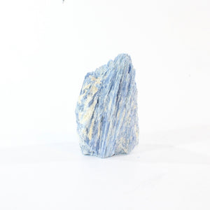 Kyanite crystal with cut base | ASH&STONE Crystal Shop Auckland NZ