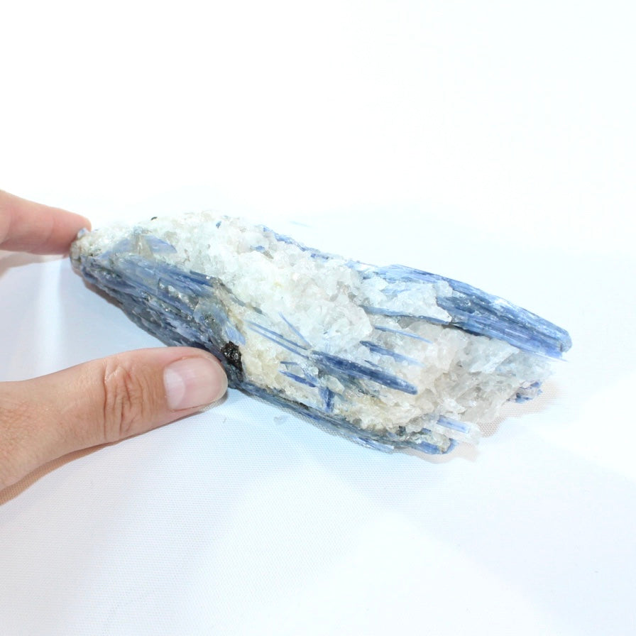 Kyanite crystal cluster| ASH&STONE Crystals Shop Auckland NZ