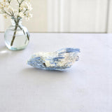 Kyanite crystal cluster | ASH&STONE Crystals Shop Auckland NZ