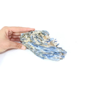 Kyanite crystal cluster 1kg | ASH&STONE Crystal Shop Auckland NZ