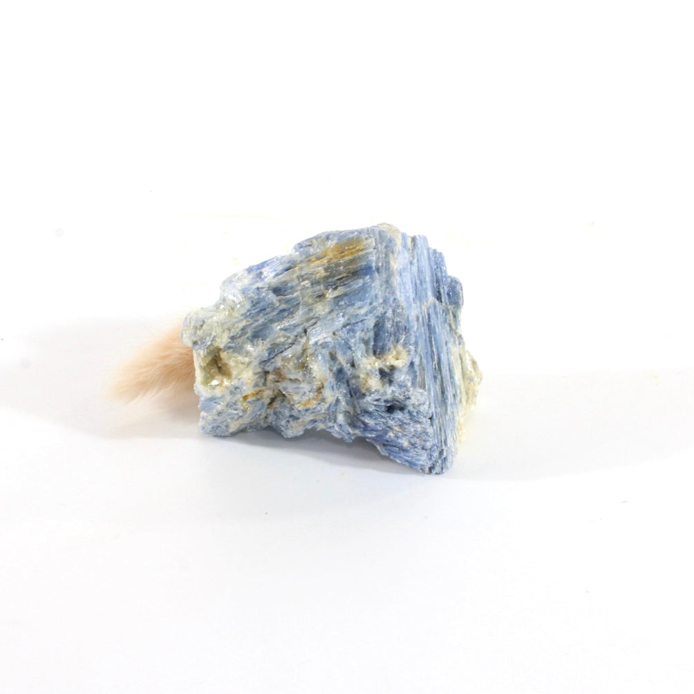 Kyanite crystal | ASH&STONE Crystals Shop Auckland NZ