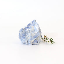 Load image into Gallery viewer, Kyanite crystal with cut base | ASH&amp;STONE Crystals Shop Auckland NZ
