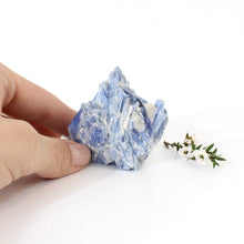 Load image into Gallery viewer, Kyanite crystal with cut base | ASH&amp;STONE Crystals Shop Auckland NZ
