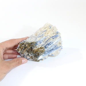 Kyanite raw crystal chunk | ASH&STONE Crystals Shop Auckland NZ