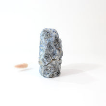 Load image into Gallery viewer, Kyanite crystal with cut base  | ASH&amp;STONE Crystals Shop Auckland NZ
