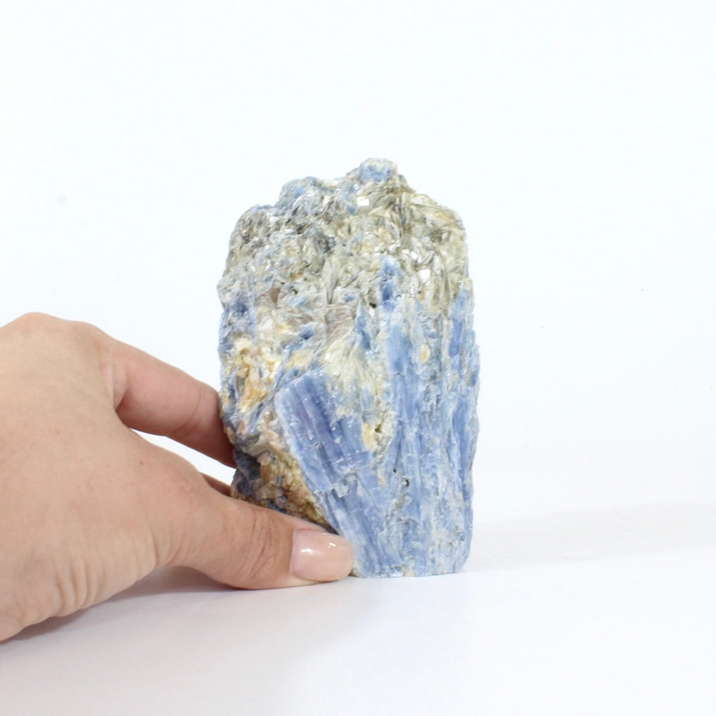 Large kyanite crystal with cut base | ASH&STONE Crystals Shop Auckland NZ