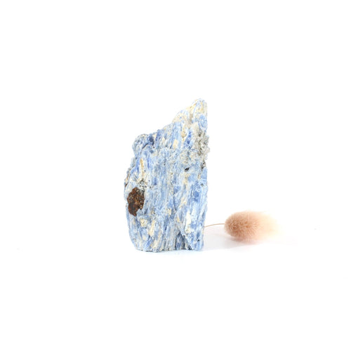 Kyanite crystal with cut base | ASH&STONE Crystals Shop Auckland NZ