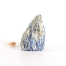 Load image into Gallery viewer, Kyanite crystal with cut base | ASH&amp;STONE Crystals Shop Auckland NZ
