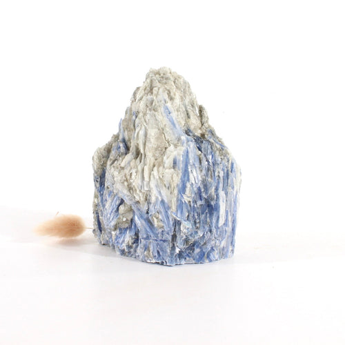 Kyanite crystal with cut base | ASH&STONE Crystals Shop Auckland NZ