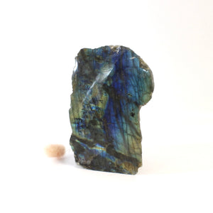 Labradorite crystal free form | ASH&STONE Crystals Shop Auckland NZ
