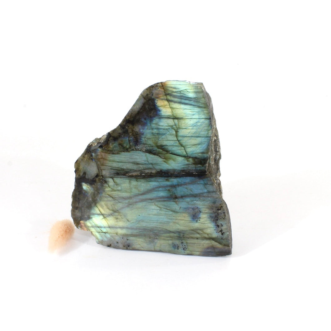 Large labradorite crystal free form 1.51kg | ASH&STONE Crystals Shop Auckland NZ