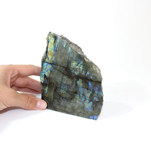 Labradorite crystal free form | ASH&STONE Crystals Shop Auckland NZ