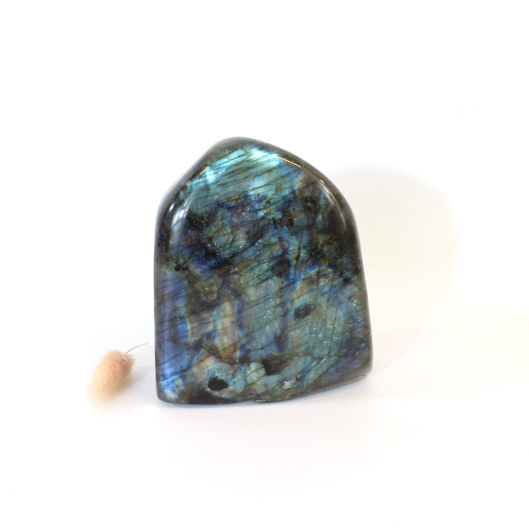 Labradorite polished crystal free form 1.46kg | ASH&STONE Crystals Shop Auckland NZ