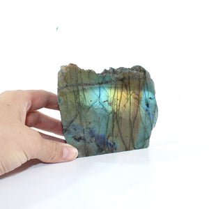 Labradorite polished crystal | ASH&STONE Crystal Shop Auckland NZ