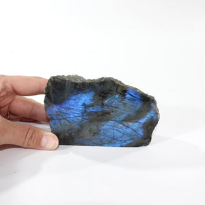 Labradorite crystal free form | ASH&STONE Crystal Shop Auckland NZ