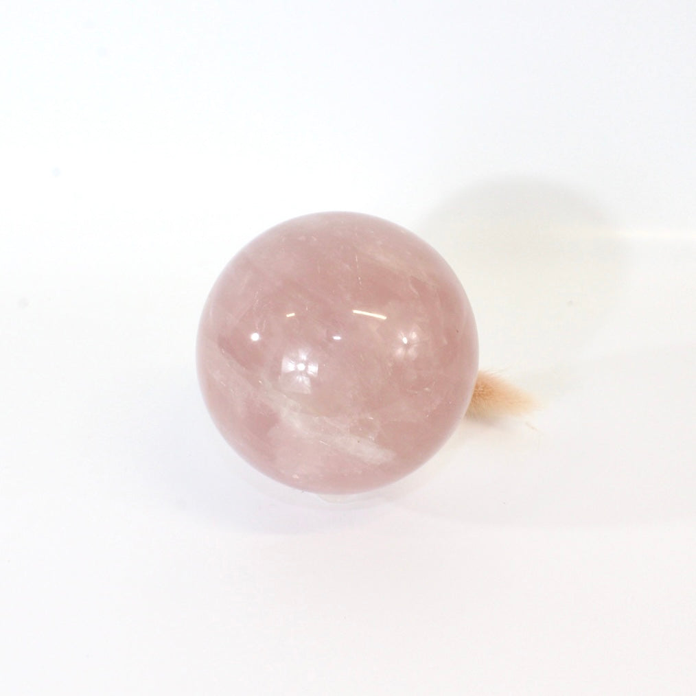 Rose quartz crystal polished sphere with clear quartz crystal stand 1.03kg | ASH&STONE Crystals Shop Auckland NZ