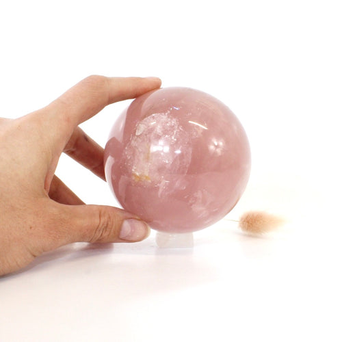 Rose quartz crystal polished sphere with clear quartz crystal stand 1.03kg | ASH&STONE Crystals Shop Auckland NZ