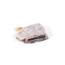 Load image into Gallery viewer, Lepidolite crystal raw | ASH&amp;STONE Crystals Shop Auckland NZ
