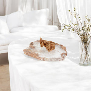 Moroccan rose interior design crystal pack | ASH&STONE Crystals Shop Auckland NZ 