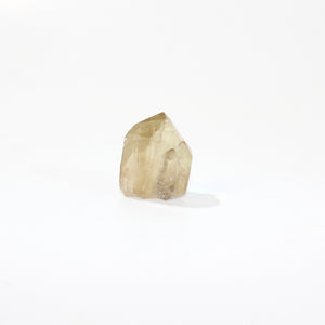 Kundalini Natural Citrine Crystal Point - extremely rare | ASH&STONE Crystals Shop Auckland NZ