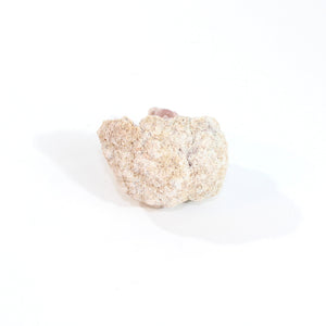 A-Grade pink amethyst crystal geode half | ASH&STONE Crystals Shop Auckland NZ