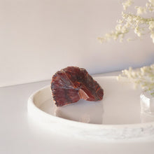 Load image into Gallery viewer, Carnelian raw crystal chunk  | ASH&amp;STONE Crystals Shop Auckland NZ
