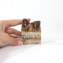 Load image into Gallery viewer, Raw honey amber calcite crystal | ASH&amp;STONE Crystals Shop Auckland NZ
