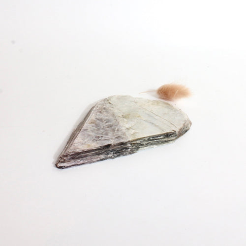 Lepidolite crystal raw | ASH&STONE Crystals Shop Auckland NZ
