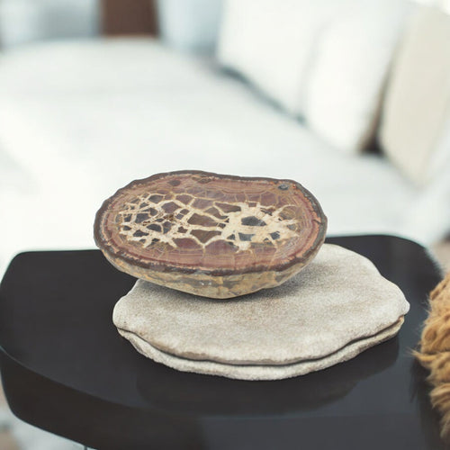 Large raw septarian crystal half with polished top | ASH&STONE Crystals Shop Auckland NZ