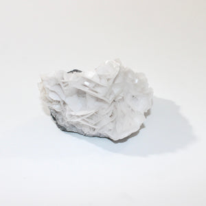 White bladed (angel wing) rose petal calcite crystal cluster | ASH&STONE Crystals Shop Auckland NZ