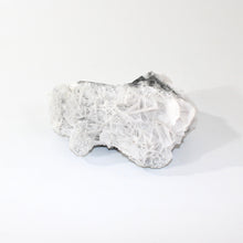 Load image into Gallery viewer, White bladed (angel wing) rose calcite crystal cluster | ASH&amp;STONE Crystals Shop Auckland NZ
